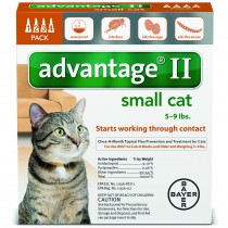 Advantage_4pk_SmallCat_Front