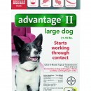 Advantage II  21-55 red     12 packs