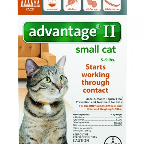 Advantage_6pk_SmallCat_Front